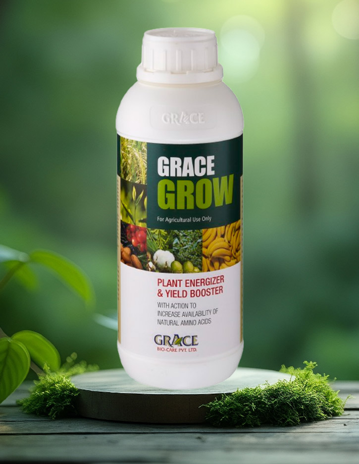 Grace Grow
